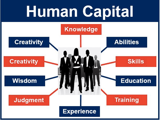 Human Capital Knowledge Creativity Creativity Wisdom Judgment
  Abilities Skills Education Training Experience 