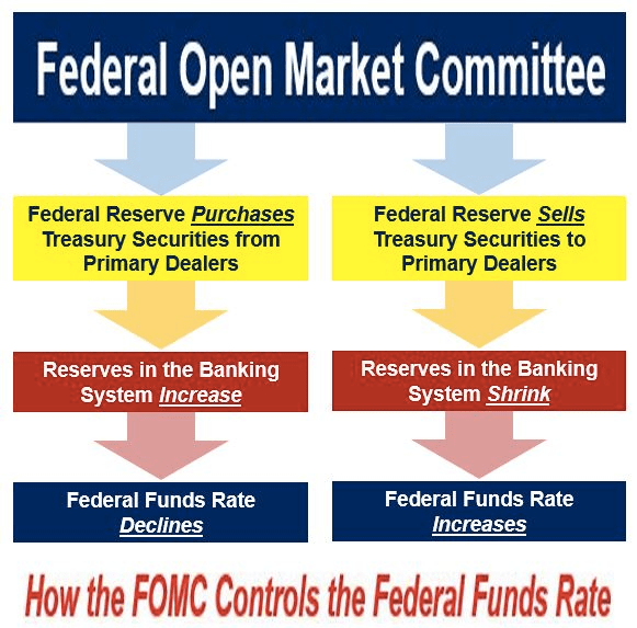 Federal Open Market Committee Federal Reserve Purchases Treasury
  Securities from Primary Dealers Reserves in the Banking System
  Increase Federal Funds Rate Declines Federal Reserve Sells Treasury
  Securities to Primary Dealers Reserves in the Banking System Shrink
  Federal Funds Rate Increases How the FOMC Controls the Federal Funds
  Rate 